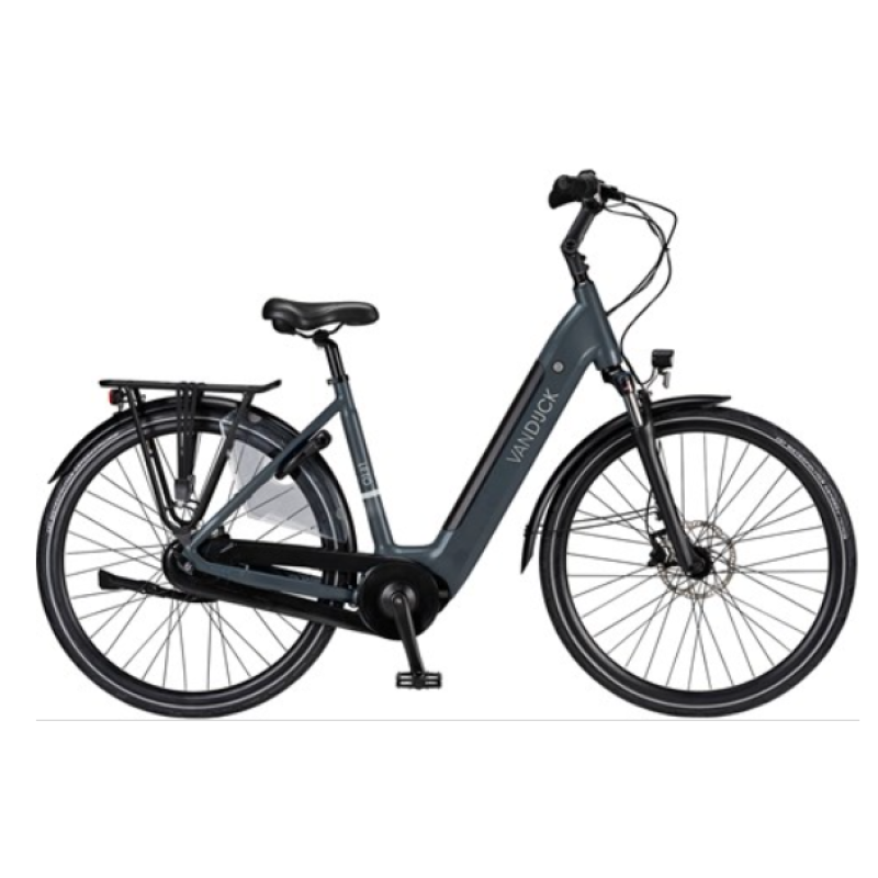 Van Dijck Leto In tube 655 wh accu 